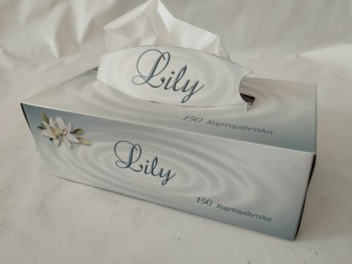 ΧΑΡΤΟΜΑΝΤΗΛΑ ΣΕ ΚΟΥΤΙ LILLY Χ150τεμ 2ΦΥΛΛΟ